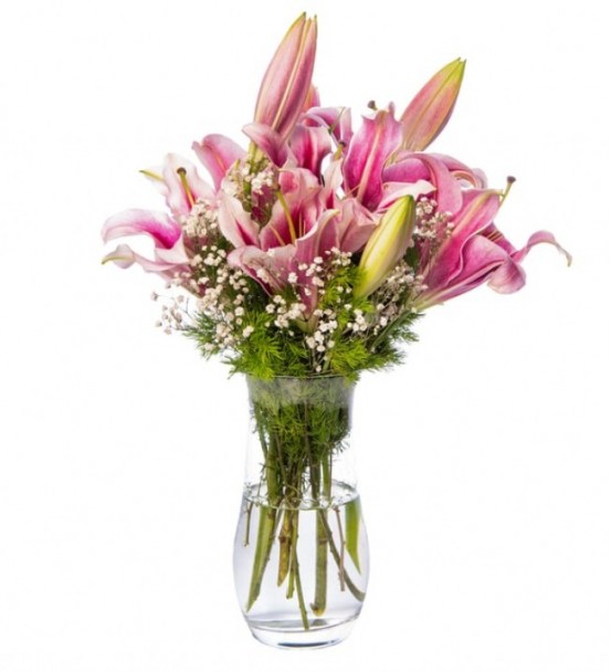 Pembe Lilyum arajman